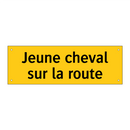 Jeune cheval sur la route