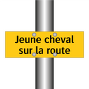 Jeune cheval sur la route