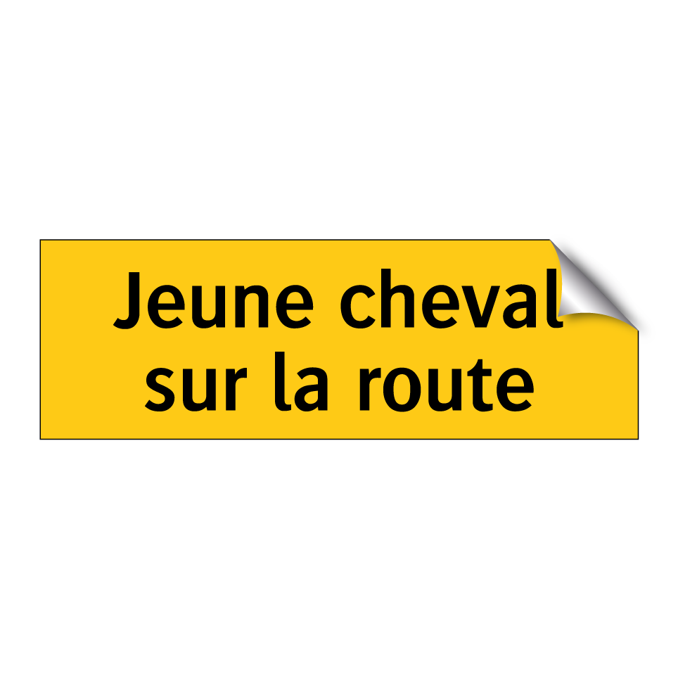 Jeune cheval sur la route