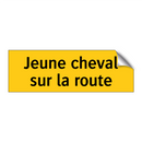 Jeune cheval sur la route