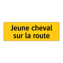 Jeune cheval sur la route