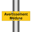 Avertissement Méduse