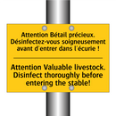 Attention Bétail précieux. Désinfectez-vous  /.../ - Attention Valuable livestock.  /.../