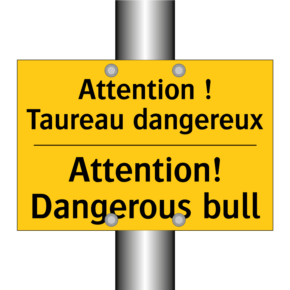 Attention ! Taureau dangereux - Attention! Dangerous bull