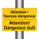 Attention ! Taureau dangereux - Attention! Dangerous bull