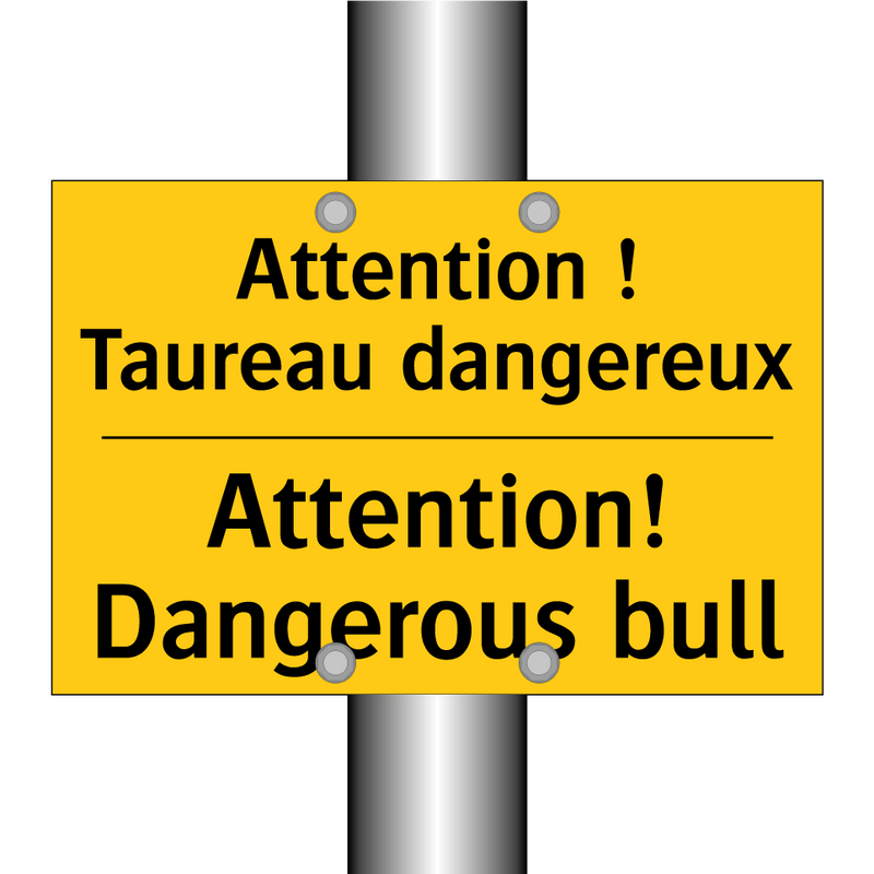 Attention ! Taureau dangereux - Attention! Dangerous bull