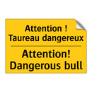 Attention ! Taureau dangereux - Attention! Dangerous bull