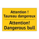 Attention ! Taureau dangereux - Attention! Dangerous bull
