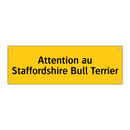 Attention au Staffordshire Bull Terrier