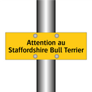 Attention au Staffordshire Bull Terrier