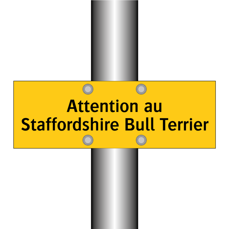 Attention au Staffordshire Bull Terrier