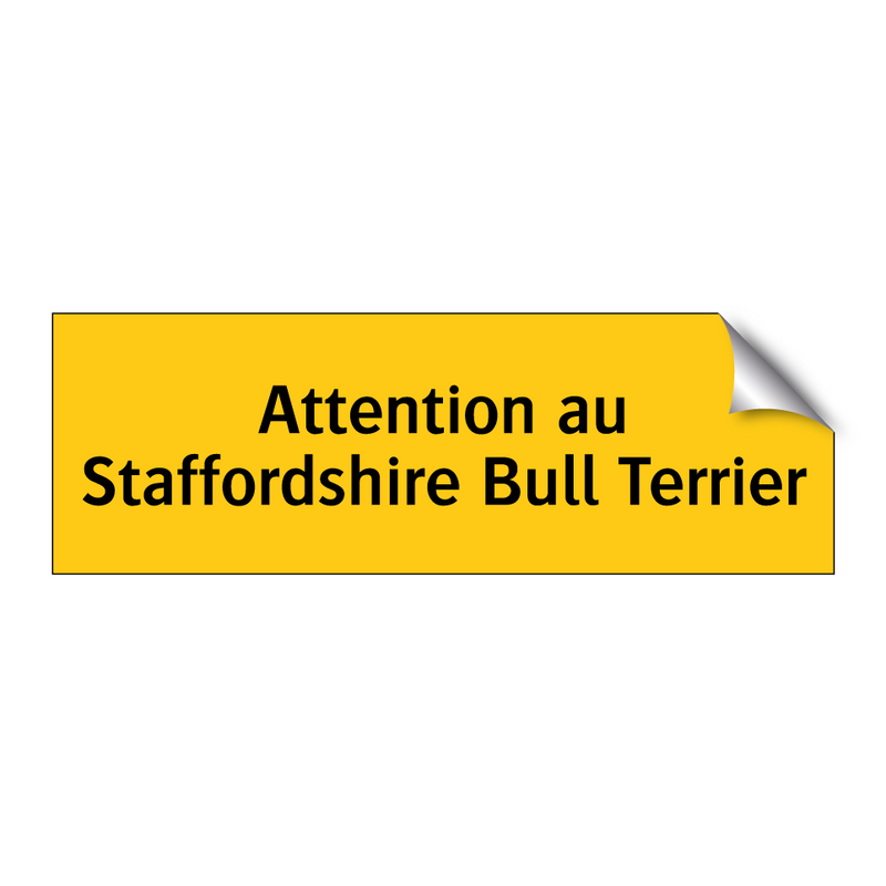 Attention au Staffordshire Bull Terrier