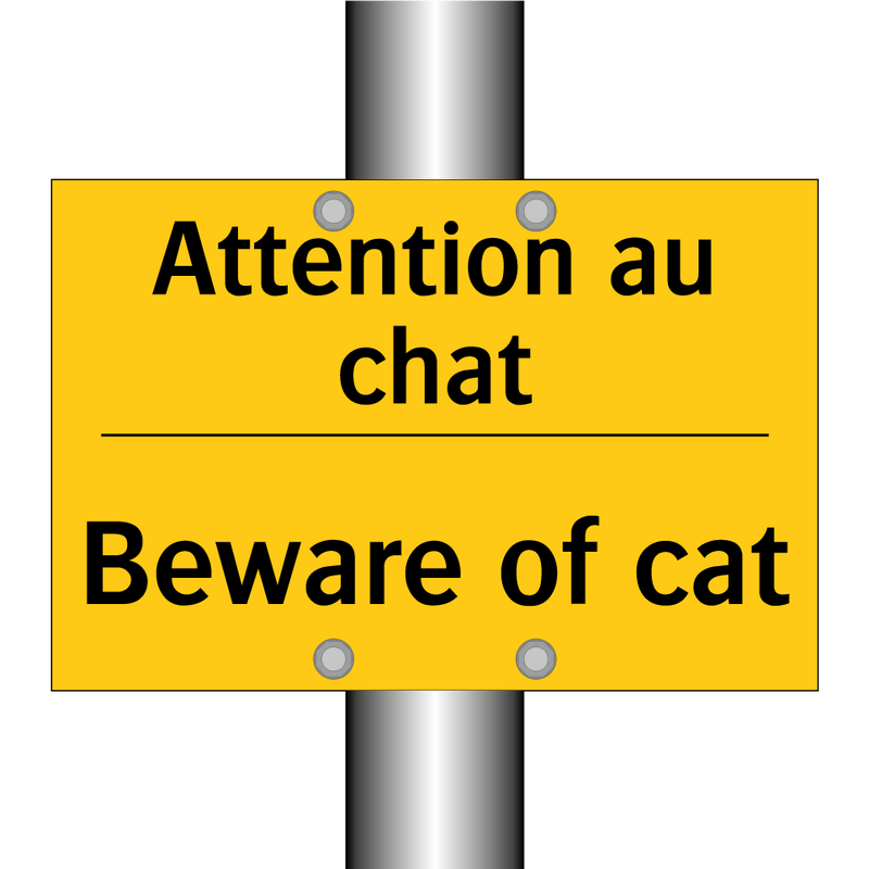 Attention au chat - Beware of cat