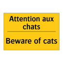Attention aux chats - Beware of cats