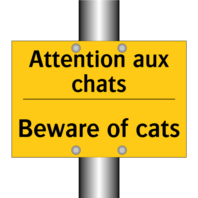 Attention aux chats - Beware of cats