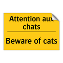 Attention aux chats - Beware of cats