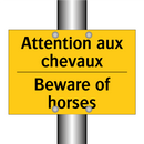 Attention aux chevaux - Beware of horses