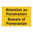 Attention au Poméranien - Beware of Pomeranian