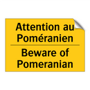 Attention au Poméranien - Beware of Pomeranian