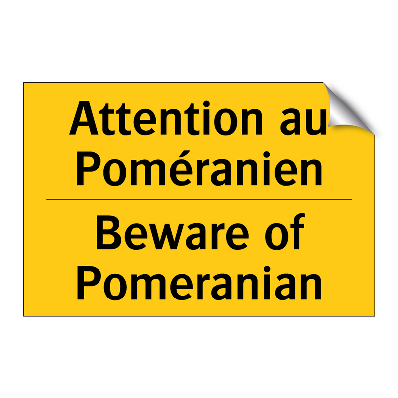 Attention au Poméranien - Beware of Pomeranian