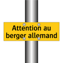 Attention au berger allemand