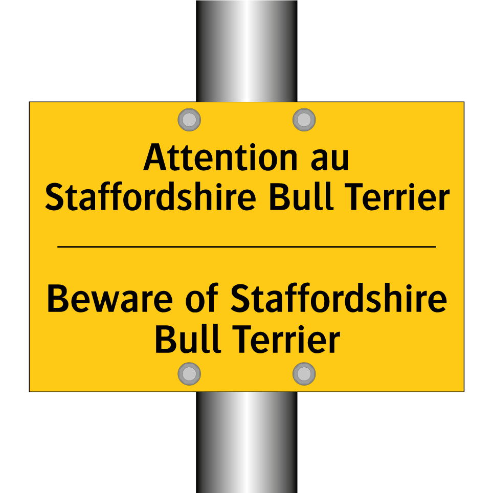 Attention au Staffordshire Bull  /.../ - Beware of Staffordshire Bull Terrier /.../