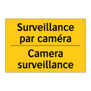 Surveillance par caméra - Camera surveillance