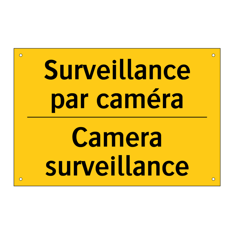 Surveillance par caméra - Camera surveillance