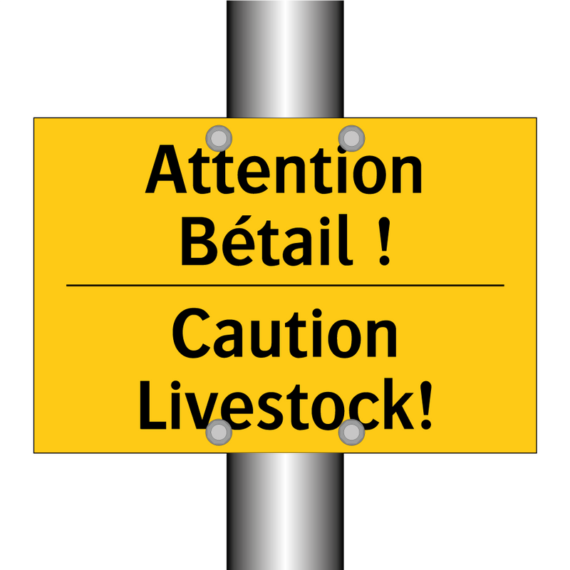 Attention Bétail ! - Caution Livestock!