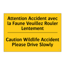 Attention Accident avec la Faune  /.../ - Caution Wildlife Accident Please  /.../