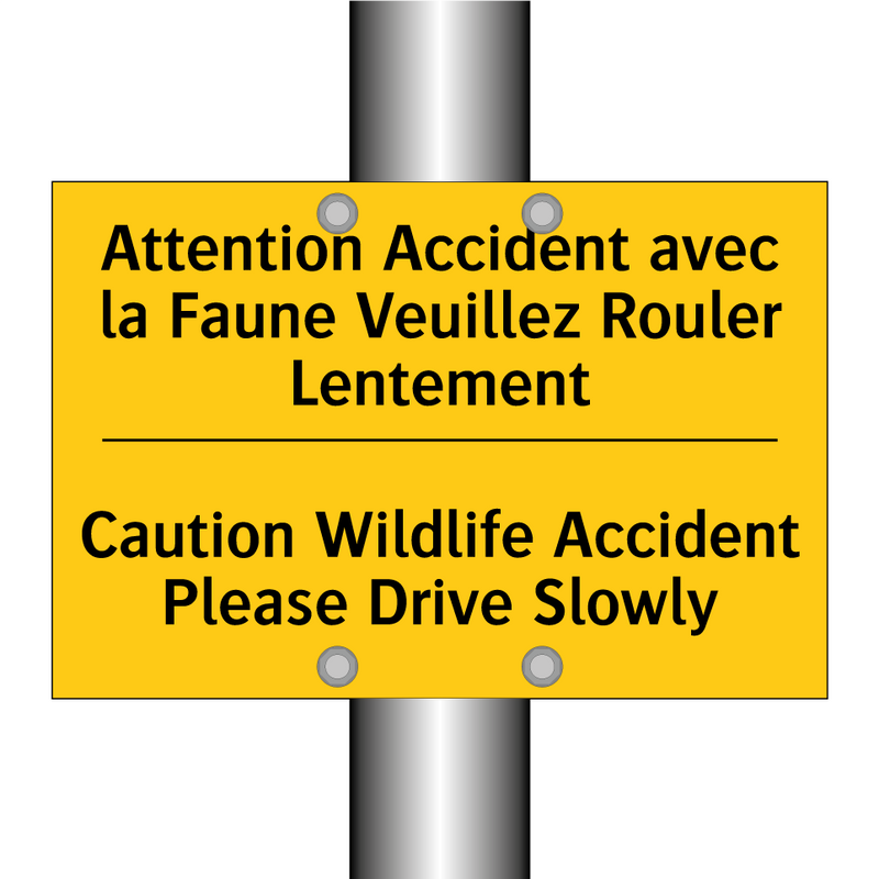 Attention Accident avec la Faune  /.../ - Caution Wildlife Accident Please  /.../