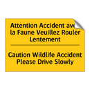 Attention Accident avec la Faune  /.../ - Caution Wildlife Accident Please  /.../