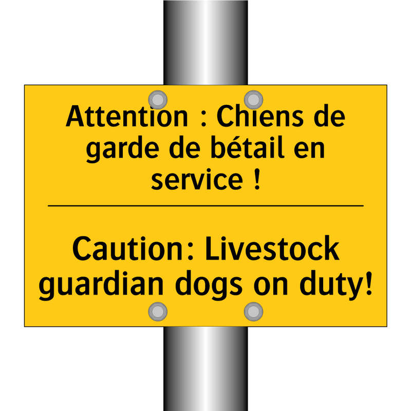 Attention : Chiens de garde de  /.../ - Caution: Livestock guardian dogs  /.../