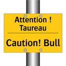 Attention ! Taureau - Caution! Bull