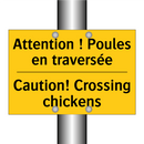 Attention ! Poules en traversée /.../ - Caution! Crossing chickens