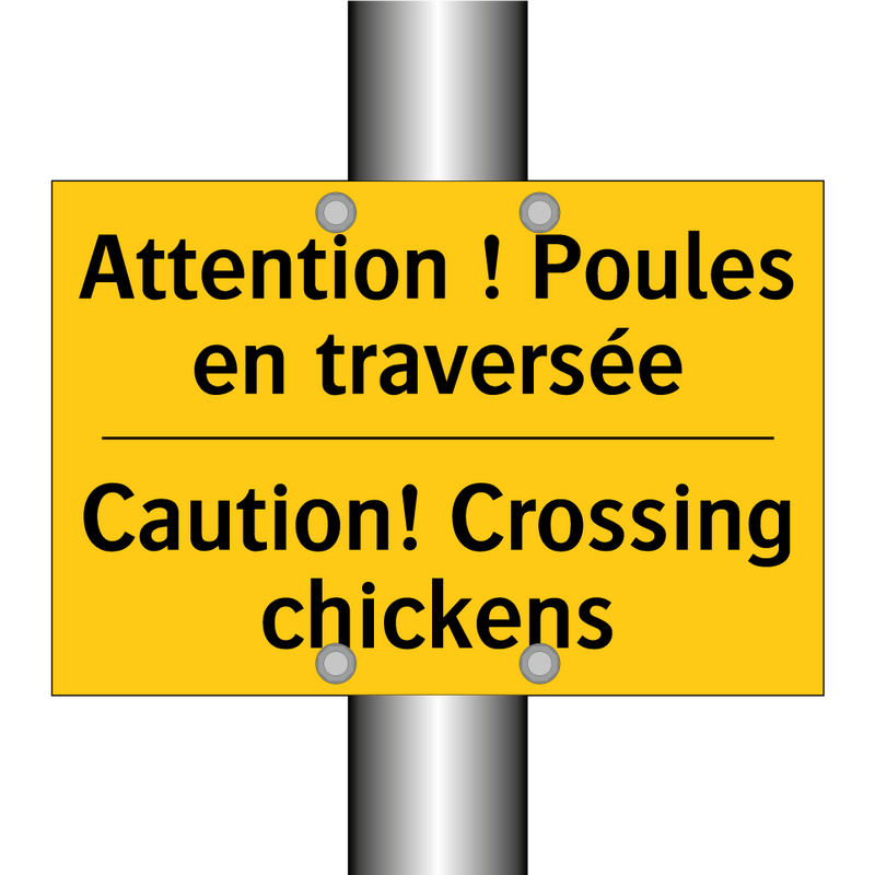 Attention ! Poules en traversée /.../ - Caution! Crossing chickens