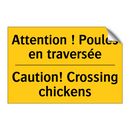 Attention ! Poules en traversée /.../ - Caution! Crossing chickens