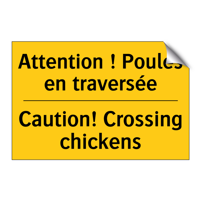 Attention ! Poules en traversée /.../ - Caution! Crossing chickens
