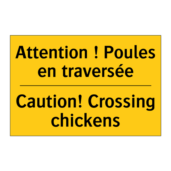 Attention ! Poules en traversée /.../ - Caution! Crossing chickens