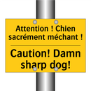 Attention ! Chien sacrément méchant  /.../ - Caution! Damn sharp dog!