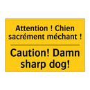 Attention ! Chien sacrément méchant  /.../ - Caution! Damn sharp dog!