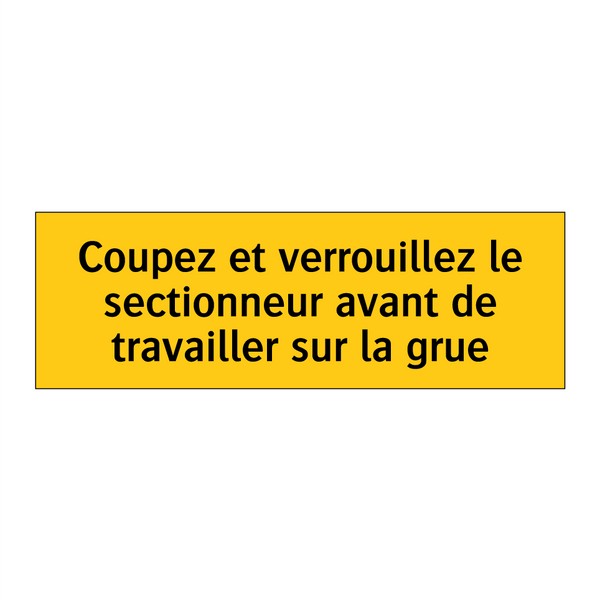 Coupez et verrouillez le sectionneur avant de travailler sur la grue