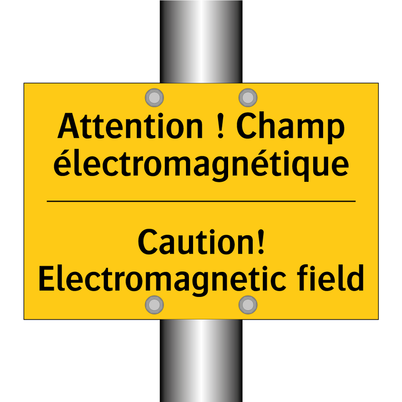 Attention ! Champ électromagnétique /.../ - Caution! Electromagnetic field