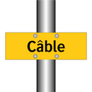Câble