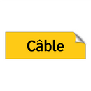 Câble