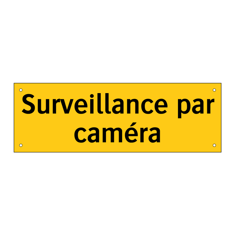 Surveillance par caméra