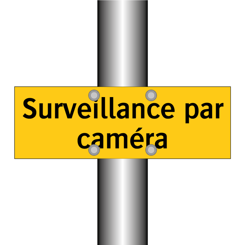 Surveillance par caméra