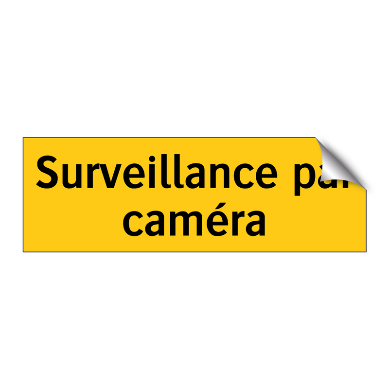 Surveillance par caméra
