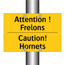 Attention ! Frelons - Caution! Hornets