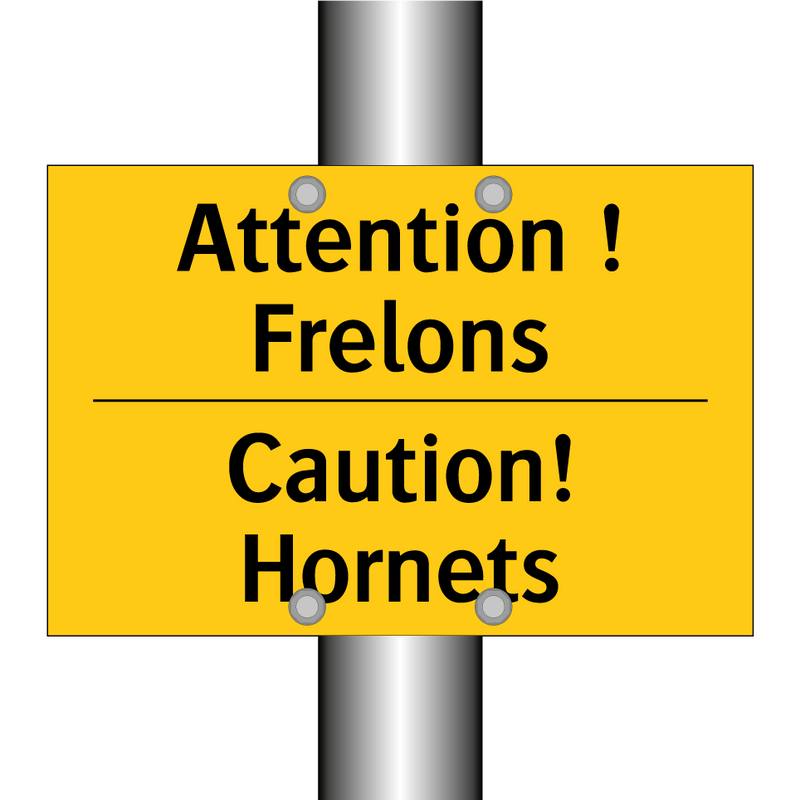 Attention ! Frelons - Caution! Hornets